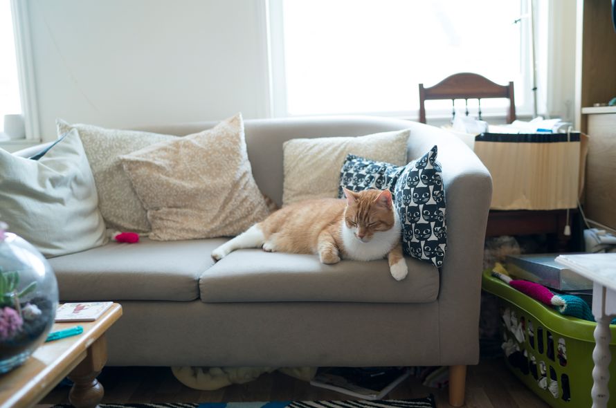 Fostering